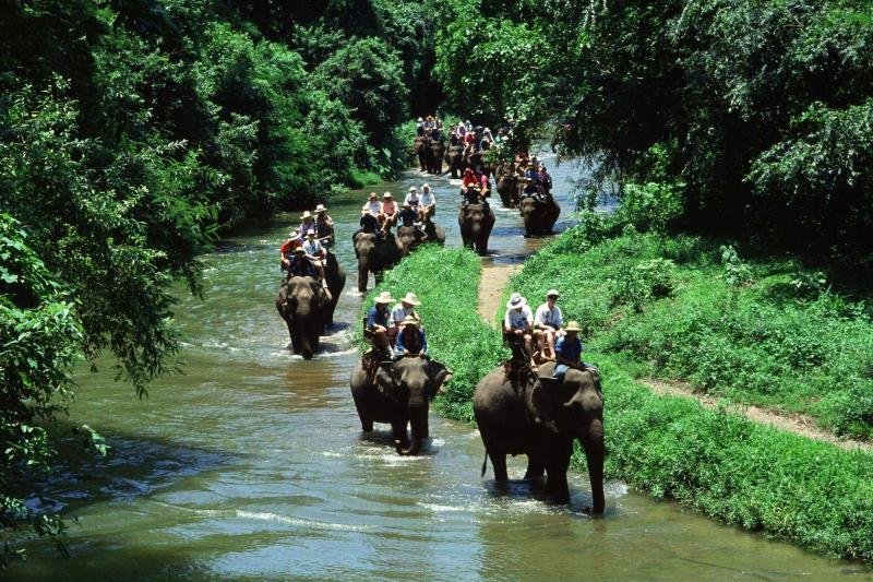 hot spring & elephant riding krabi